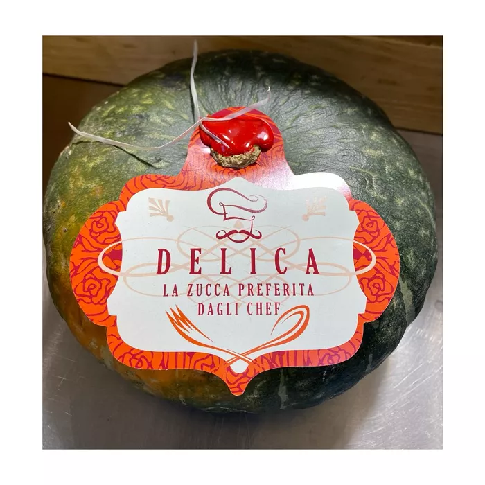 Zucca delica peso ca. 2 kg.